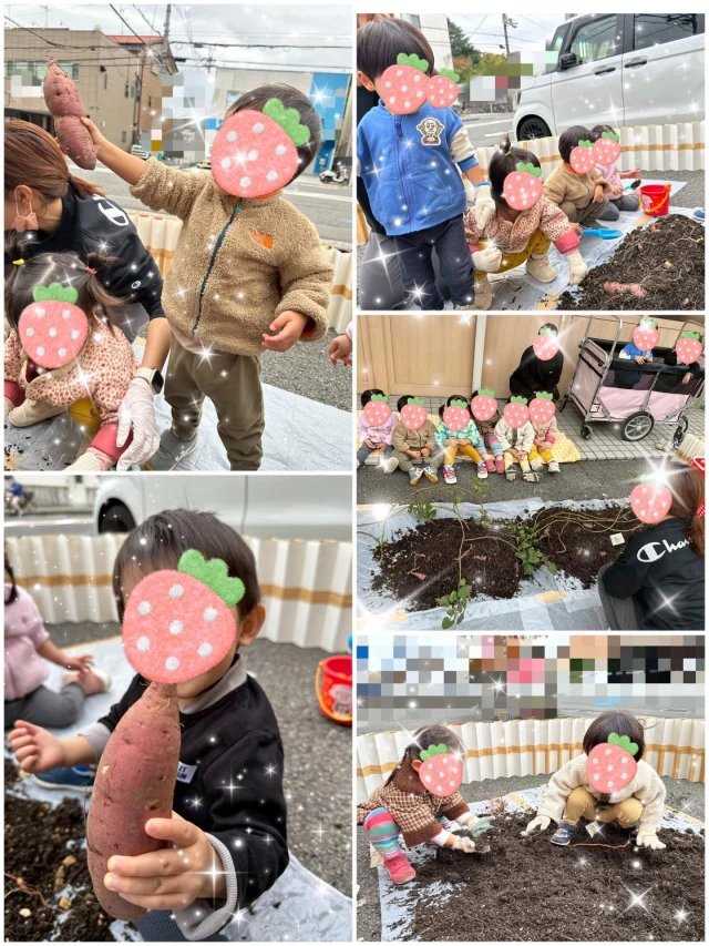 🍠お芋掘りごっこ🍠  プランターに植えたさつまいもを掘りました🌱  ちっちゃいおいもさんばっかりだったので、職員がこっそり大きいものも用意しました🤭  掘り出せると、うわー！！っとお目めをキラキラ輝かせて楽しんでくれていました✨  #ゆうわ保育園　#お芋掘り #保育園　#小規模 #企業 #小規模保育園 #おいも #おいもほりごっこ #藤井寺市　#羽曳野市