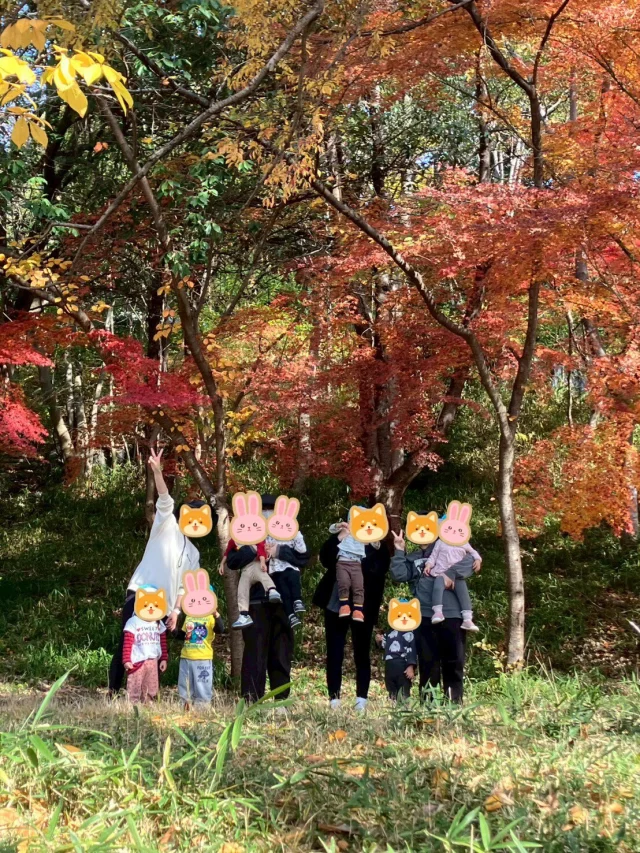 いつも行く公園の紅葉がとても綺麗だったので
みんなでパシャリ🍁📷  #ゆうわ保育園#小規模保育園#企業型保育園#藤井寺市#羽曳野市