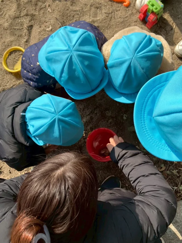 1枚目　いつも行く公園の砂場に小さいカメ🐢がいてたのでバケツに水を入れみんなで観察しました👀✨
みんな興味津々！！！  2枚目　みんなでボールで遊びました！必死にボールを追いかけ、蹴ったり、投げたり、沢山からだを動かしました🏃‍♂️  3.4枚目　いつも行く市役所の広場にみかん🍊？の木がありました！園児たちがおいしそ〜と言っていました😋  #ゆうわ保育園#小規模保育園#企業型保育園#藤井寺市#羽曳野市